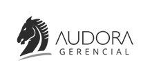 audora-220x110-gray-2